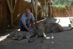 gallery-south-africa-4