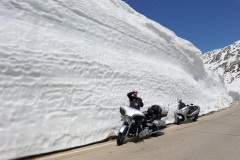 gallery-alps-5